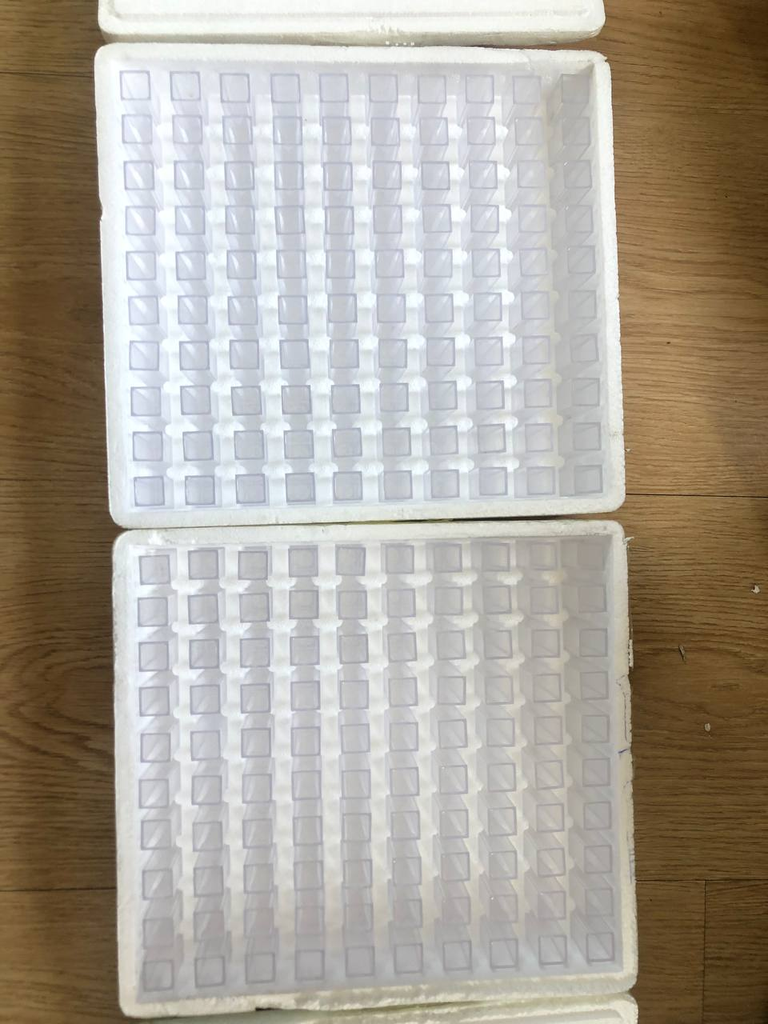 Square Cuvette 100 pcs/pkg