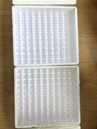 [3-06-0000071] Square Cuvette 100 pcs/pkg